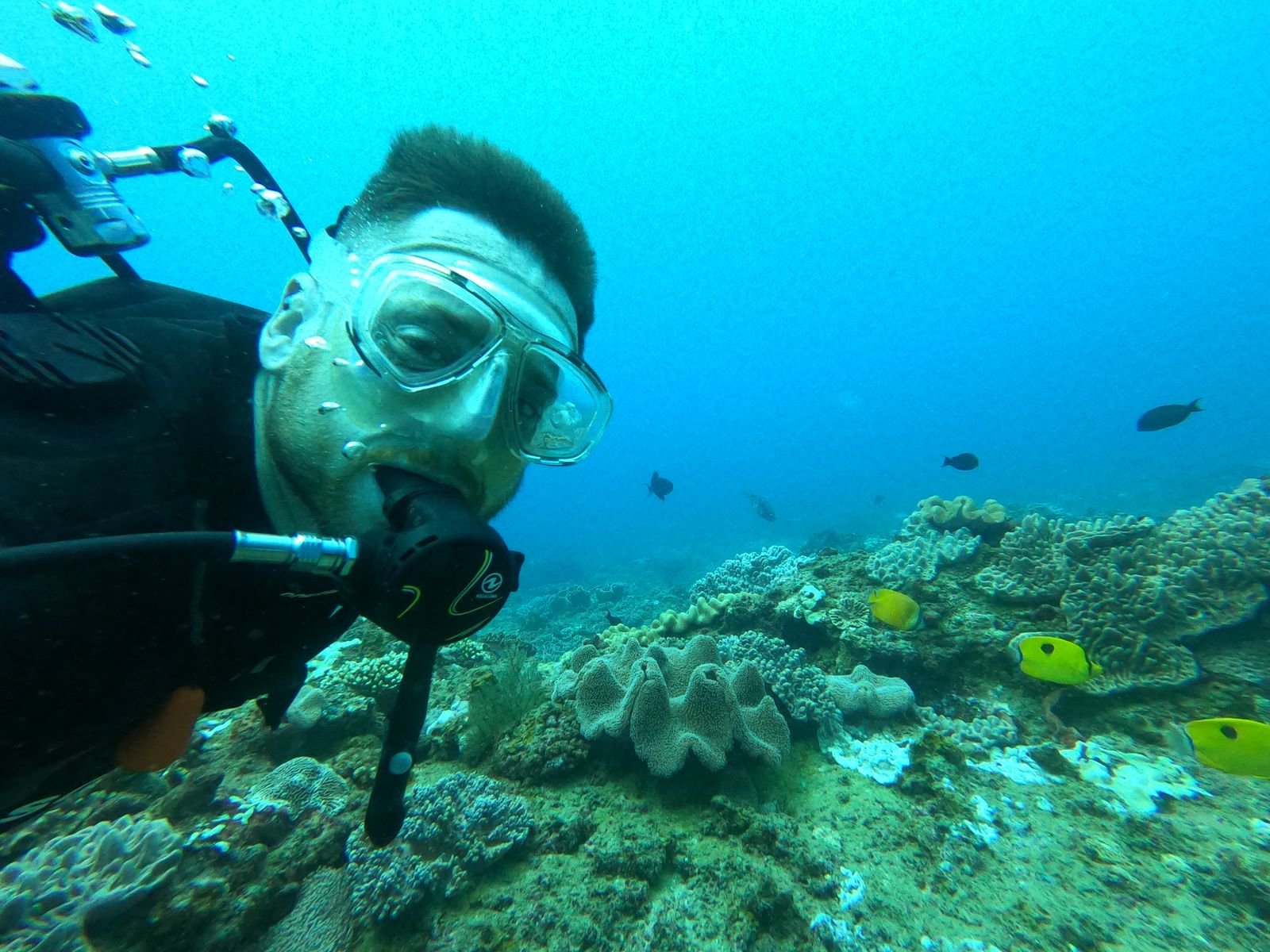 Qualifying Diver 2025-02-16 (2)